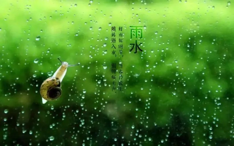 “雨水”來(lái)了，注意健脾祛濕防春寒，保健養(yǎng)生這么做！