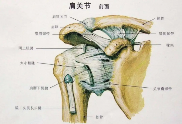 給愛(ài)打麻將的人一個(gè)養(yǎng)生理由：適度搓麻，延緩認(rèn)知衰退！