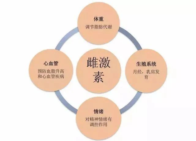 女孩們，答應(yīng)我這個(gè)器官一定要保護(hù)好